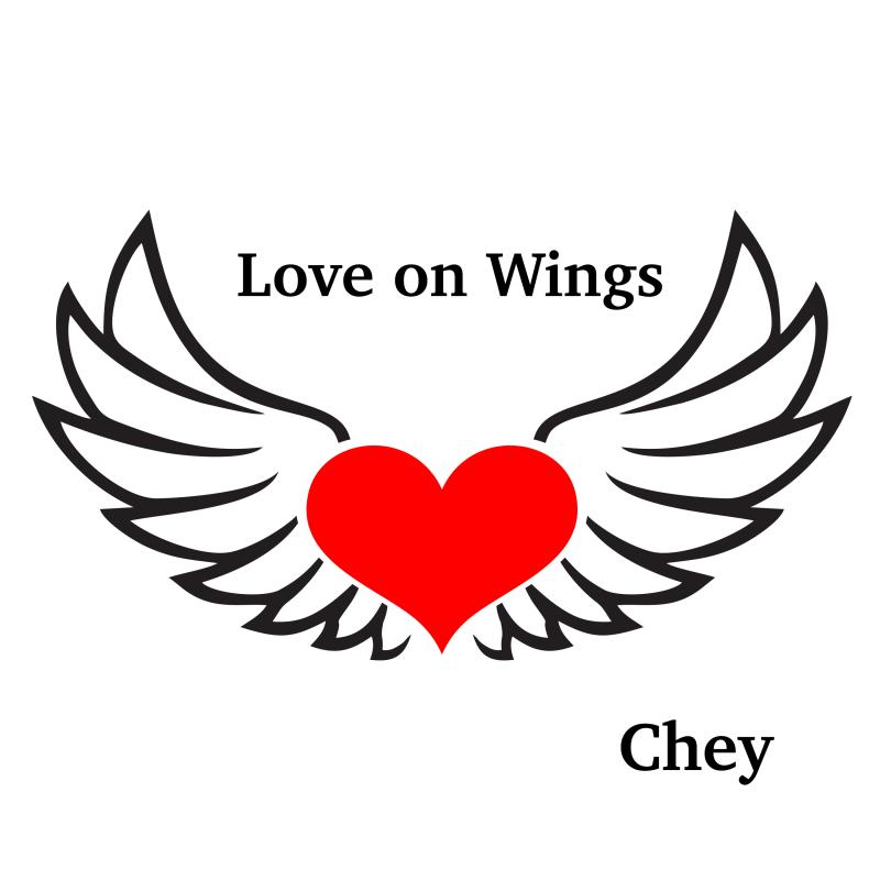 Chey - Love on Wings