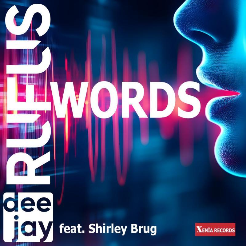 dee jay RUFUS feat. Shirley Brug - WORDS